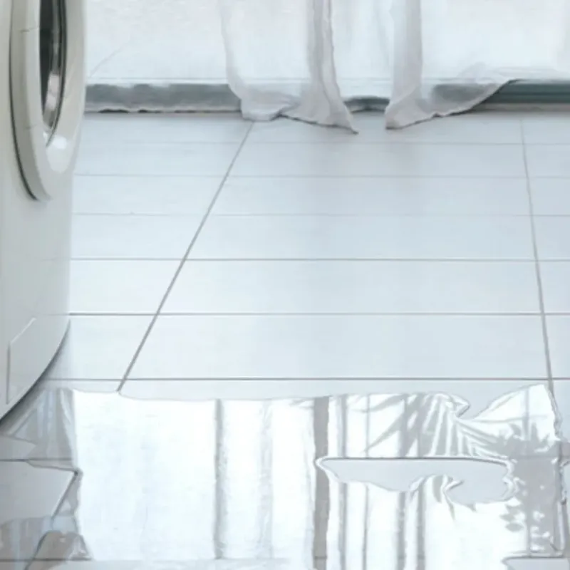 Appliance Leak Cleanup in Trumann, AR